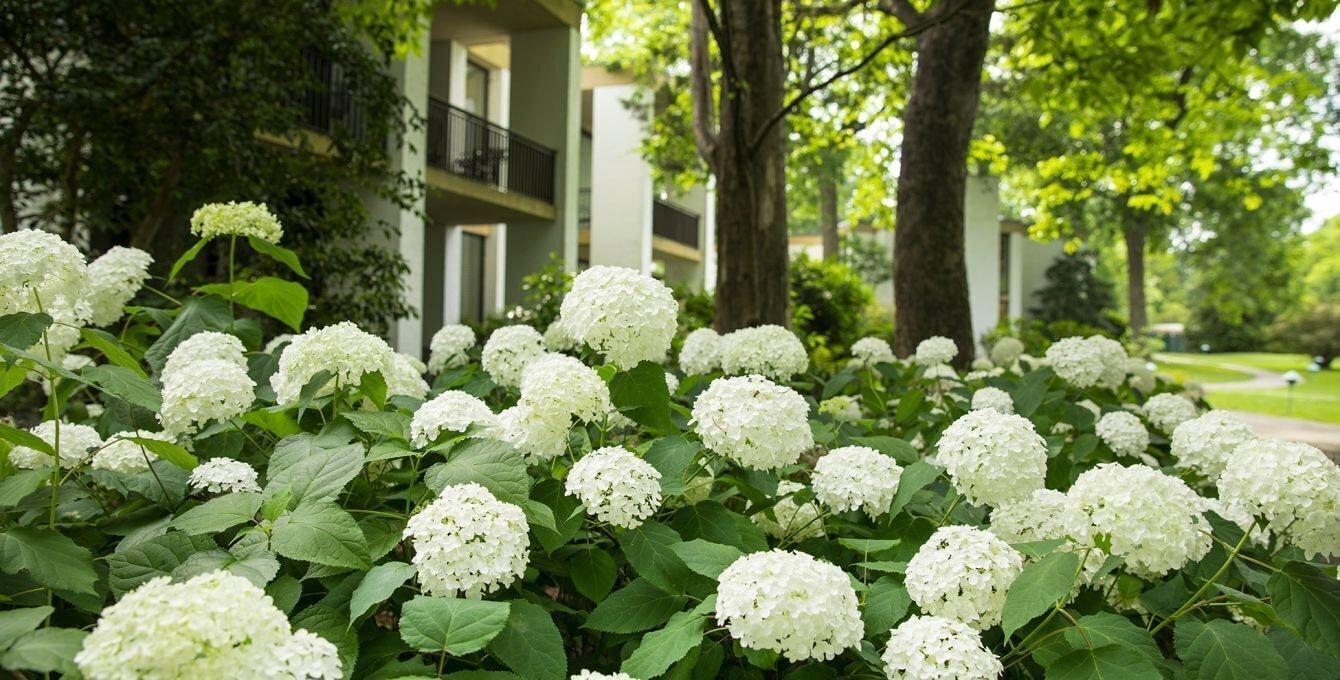 Griffin Hotel, An Official Colonial Williamsburg Hotel エクステリア 写真